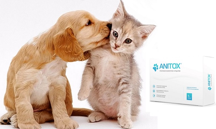 Anitox от паразитов: предназначены для кошек и собак после 3-х месяцев!