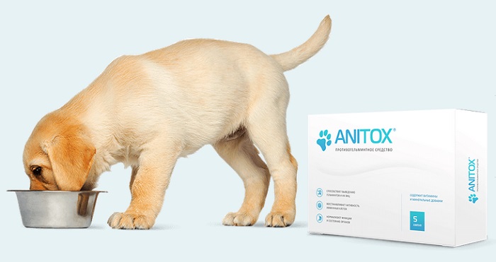 Anitox от паразитов: предназначены для кошек и собак после 3-х месяцев!
