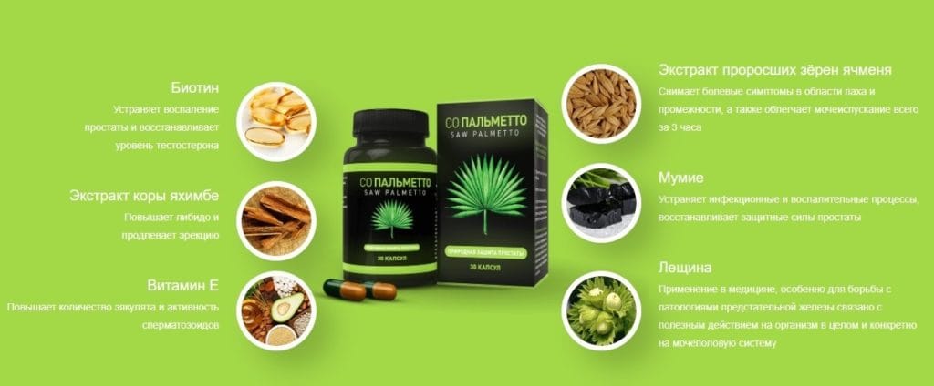 Saw Palmetto (Π‘ΠΎ ΠΠ°Π»ΡΠΌΠ΅ΡΡΠΎ) Π΄Π»Ρ ΠΌΡΠΆΡΠΈΠ½ ΡΠΎΡΡΠ°Π²