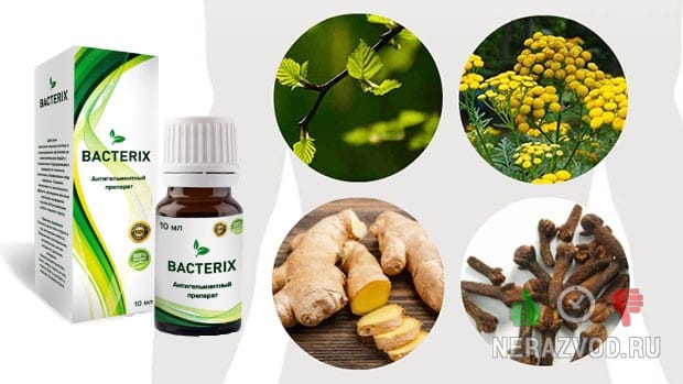 Bacterix Π½Π°ΡΠΈΠ²Π½ΡΠΉ ΠΊΠΎΠ½ΡΠ΅Π½ΡΡΠ°Ρ ΠΎΡ ΠΏΠ°ΡΠ°Π·ΠΈΡΠΎΠ²