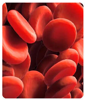 Густая крови до применения таблеток Blood Gain.