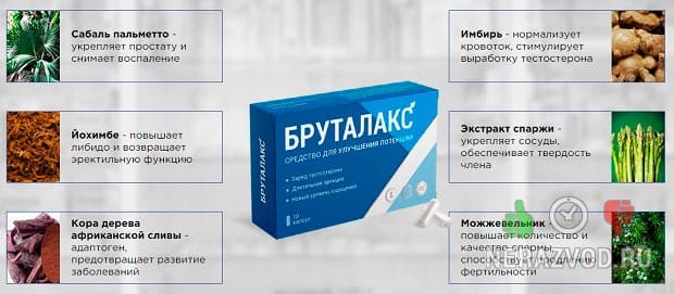 Бруталакс для потенции