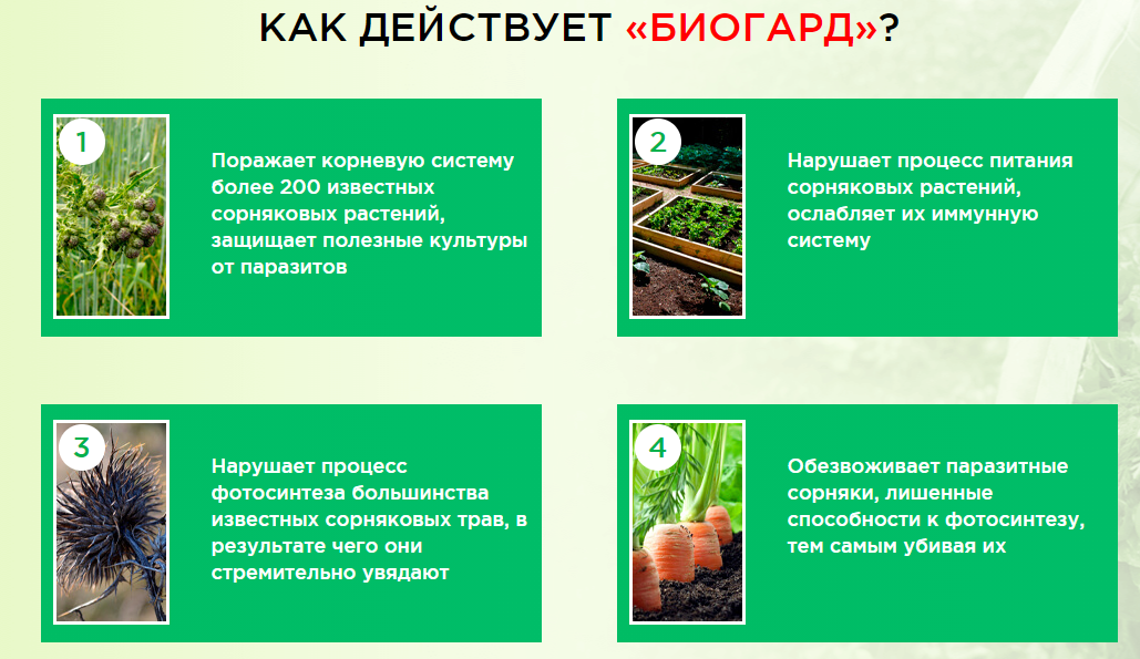 действие биогарда