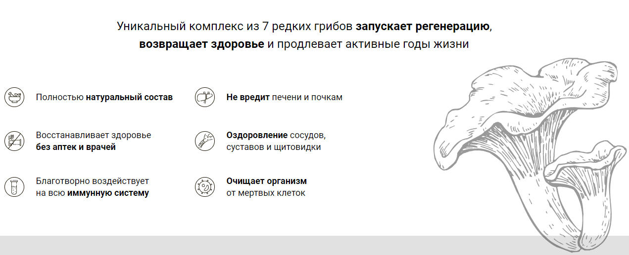 Π΄Π΅ΠΉΡΡΠ²ΠΈΠ΅ ΠΌΠΈΡΠ΅Π»ΠΈΠΊΡΠ°