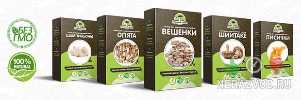 Домашняя грибница Грибной Сезон