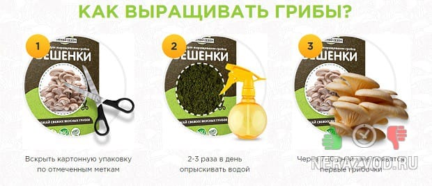 Набор для выращивания грибов
