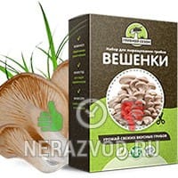 Грибной Сезон