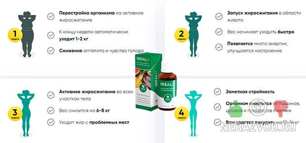 IdealFit для похудения