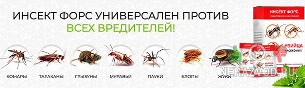 Инсект Форс – защита дома от любых вредителей