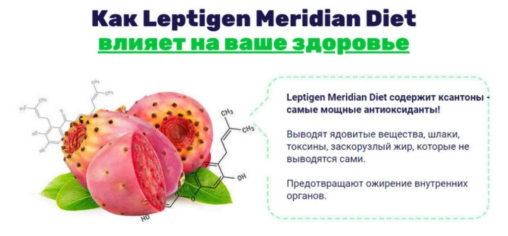 Как работают капсулы Leptigen Meridian Diet