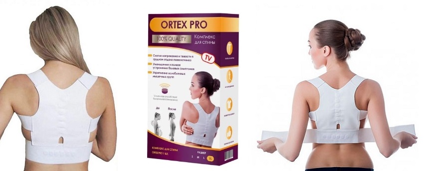 Ortex Pro2