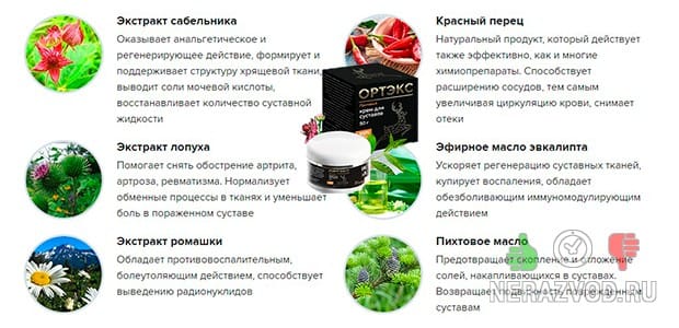 Ортэкс для суставов