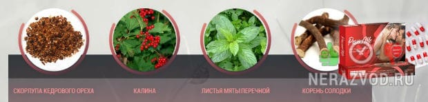 PasionMe состав