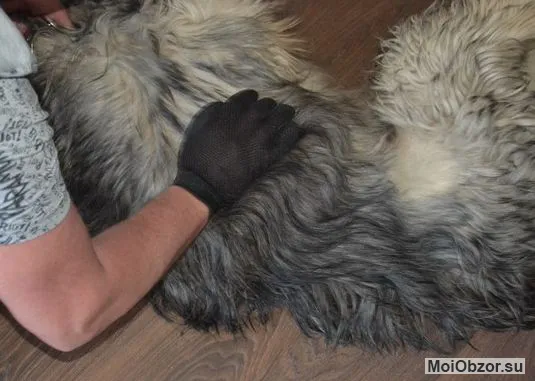 Силиконовая перчатка для шерсти животных