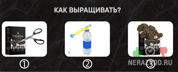 как выращивать