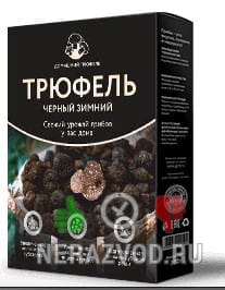 Домашний трюфель